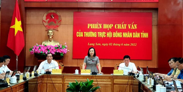 Thường trực HĐND tỉnh Lạng Sơn tổ chức họp phiên chất vấn về lĩnh vực văn hóa, giáo dục - ẢNH THANH HUYỀN